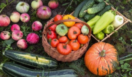 5出发吃瓜网,揭秘娱乐圈最新热点，带你畅游八卦世界