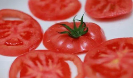 海阳吃网瓜视频,揭秘网络红人美食挑战背后的故事