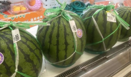 日网吃瓜,娱乐圈最新吃瓜大揭秘！